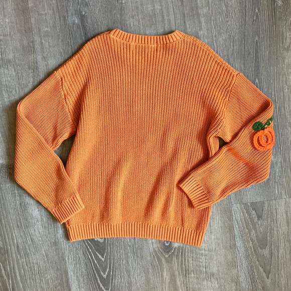 NEW Cheeky Plum Embroidered Pumpkin Sweater 🎃 - Picture 6 of 6